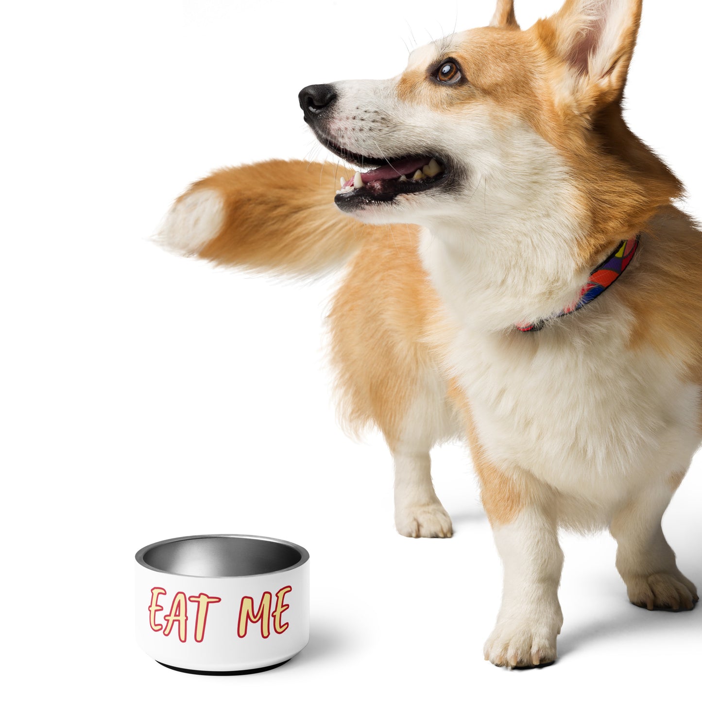 Eat Me Pet Bowl
