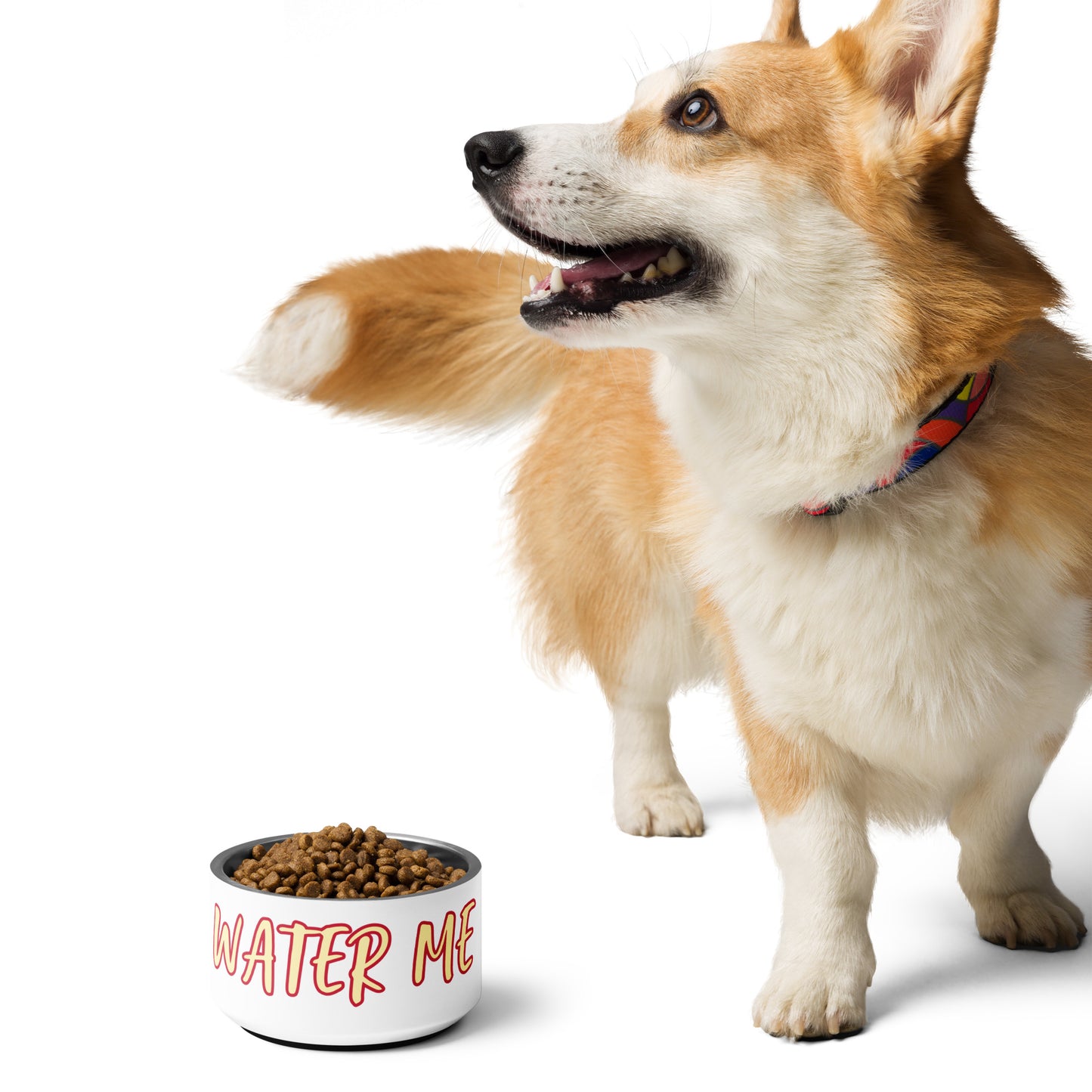 Water Me Pet bowl