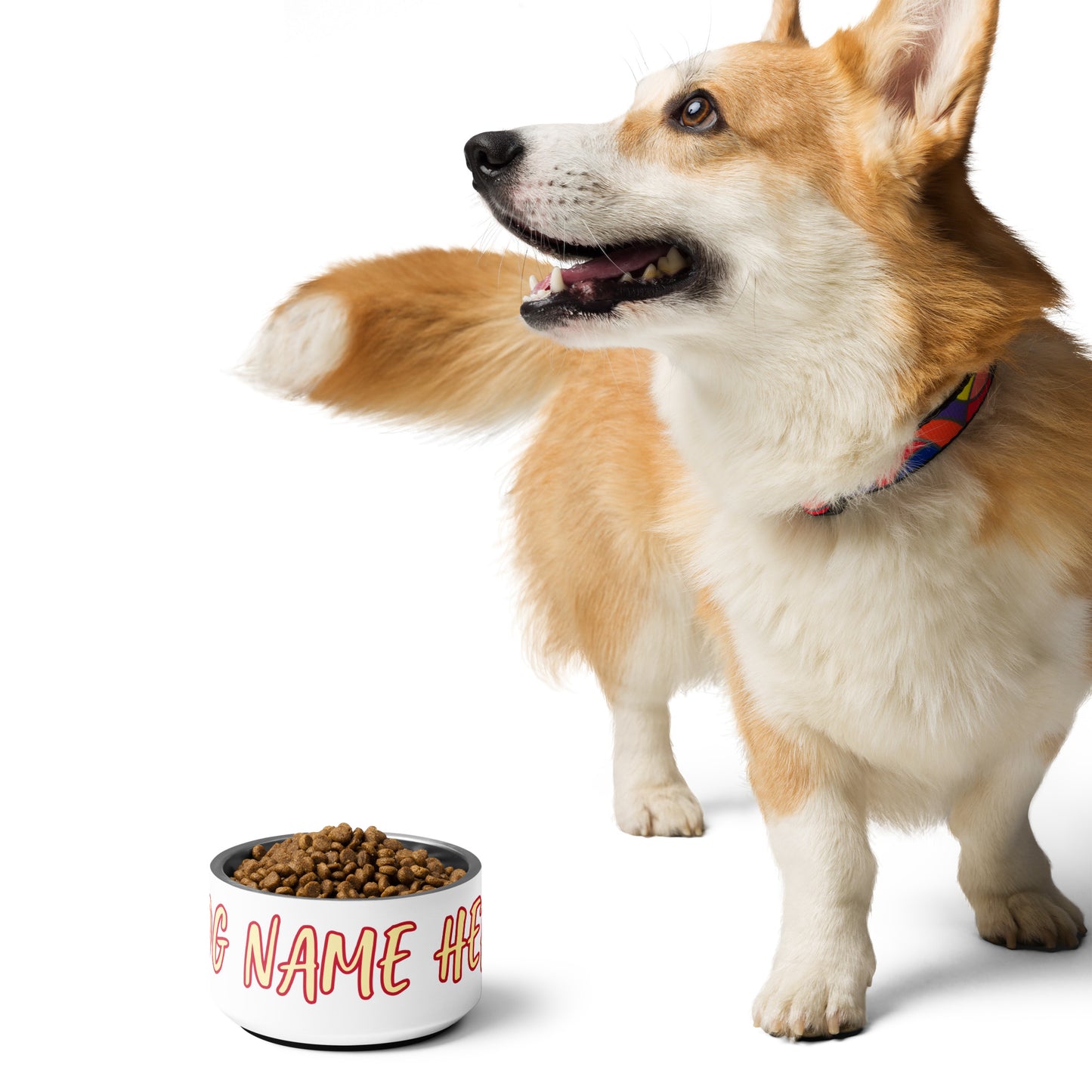 Custom Dog Bowl