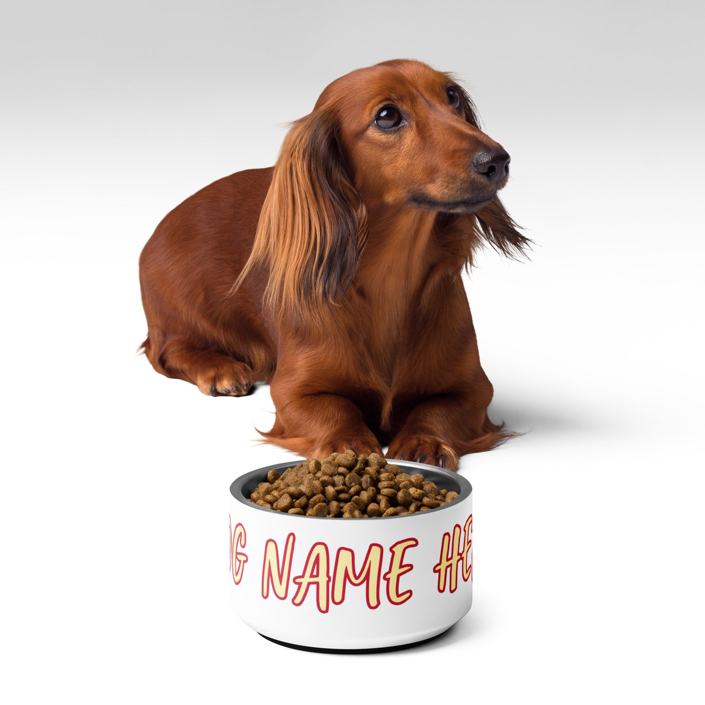 Custom Dog Bowl