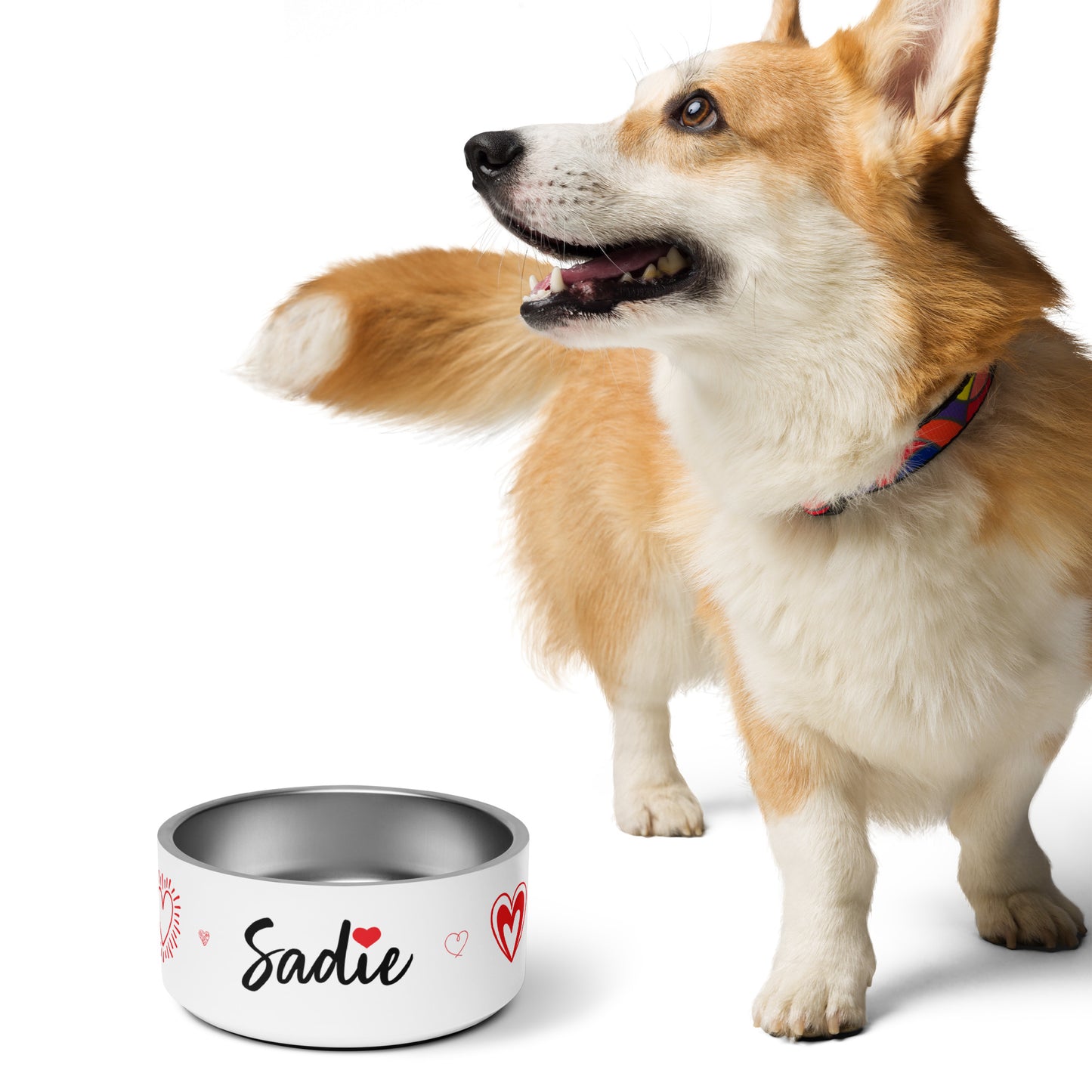 Hearts Dog Pet Bowl