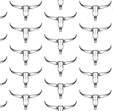 Texas Longhorn Skull Collection