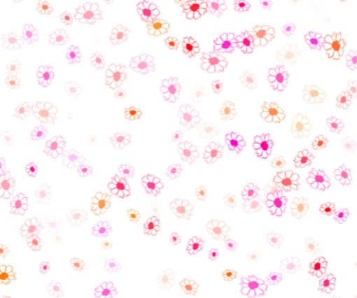 Tiny Pink and Orange Flowers