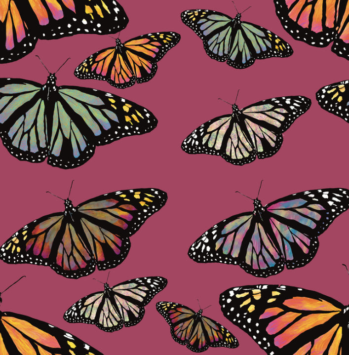 Colorful Butterfly Collection
