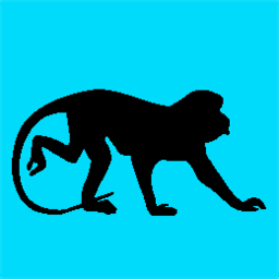 Digital Monkey