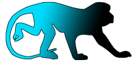 Digital Monkey