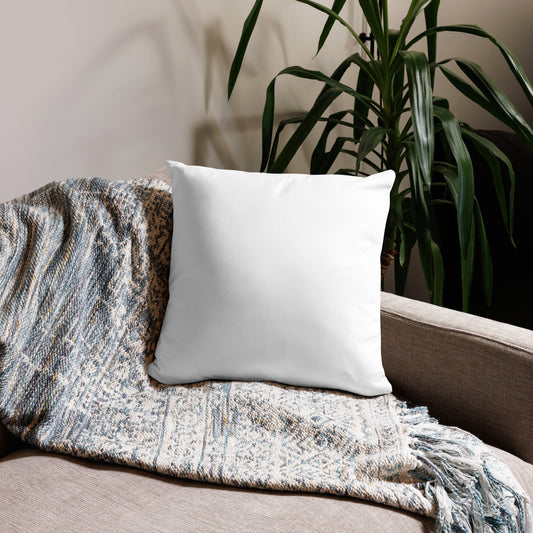 No place like home in Texas Basic Pillow