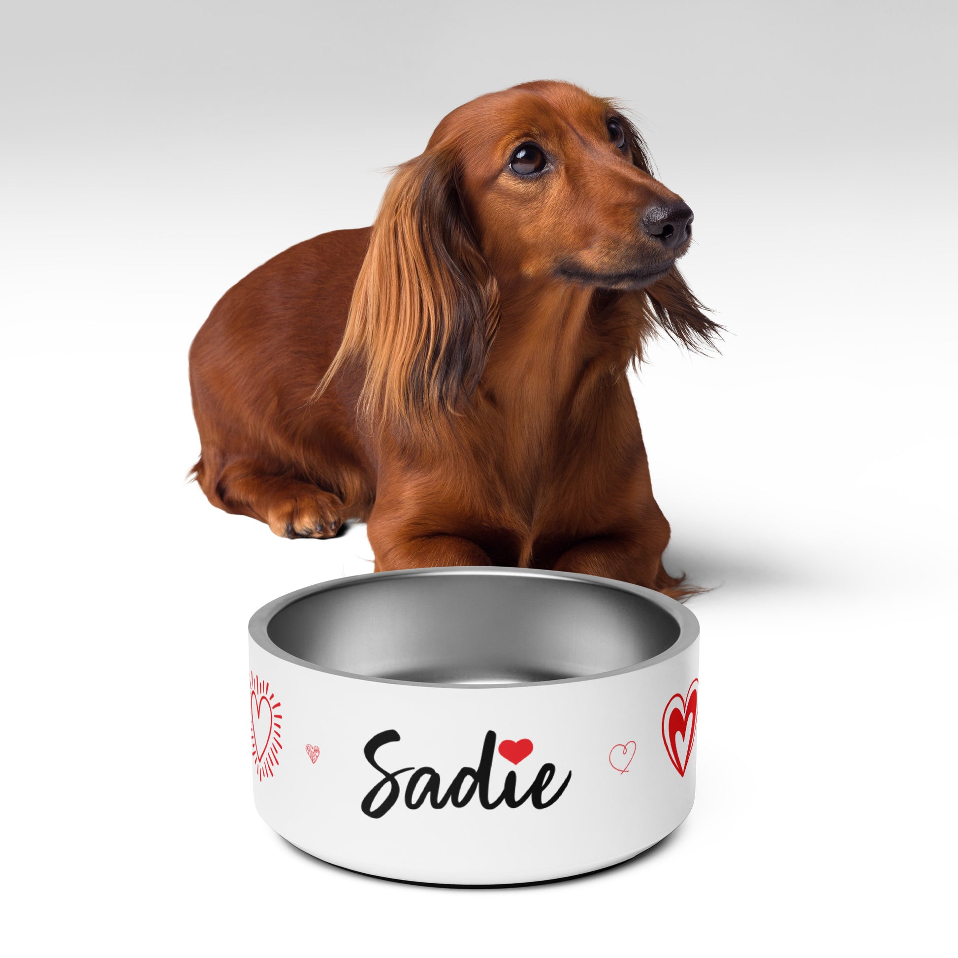 Hearts Dog Pet Bowl